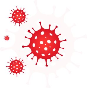 picture of virus