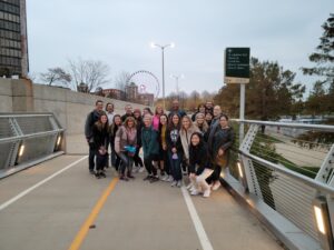 Chicago Walk