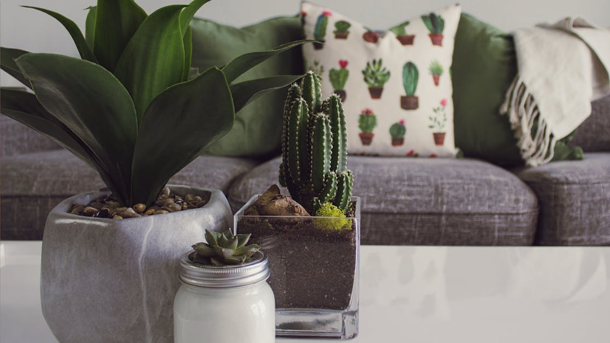 Tax obligations for household employees